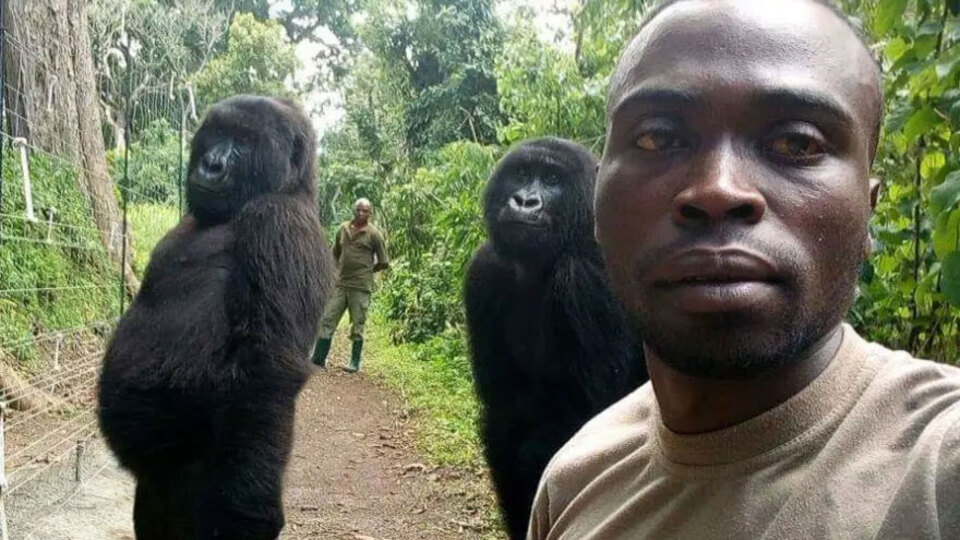 İnterneti sallayan selfie!