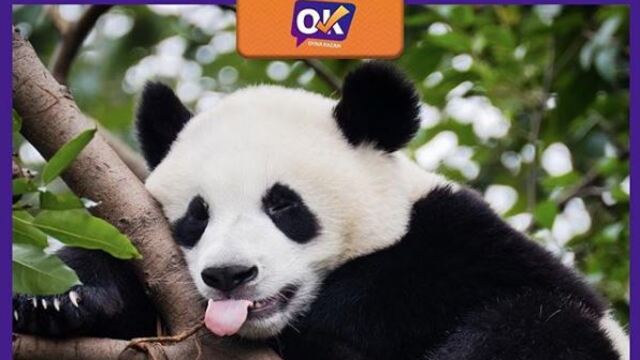 Oyna Kazan ipucu cevabı 23 Nisan
