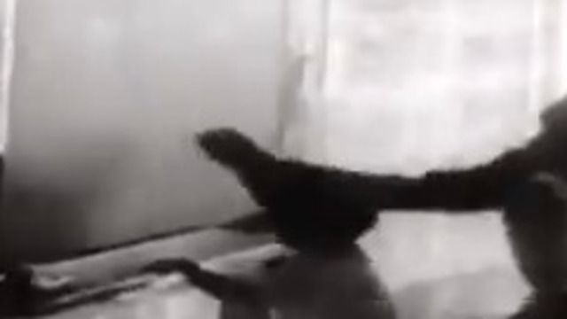 TSK'dan 23 Nisan klibi