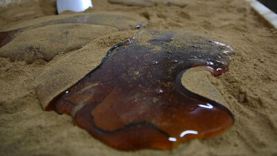 500 yıl önce ortaya çıktı! İçerisinde yok yok