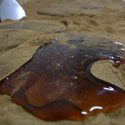 500 yıl önce ortaya çıktı! İçerisinde yok yok