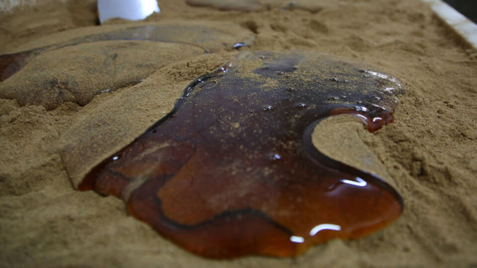 500 yıl önce ortaya çıktı! İçerisinde yok yok