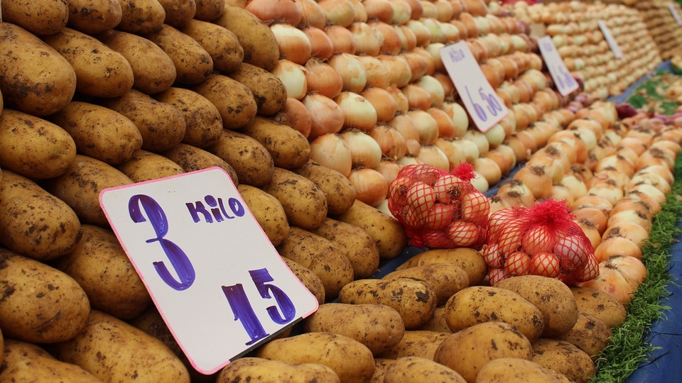 Fiyatlar yarı yarıya düşebilir