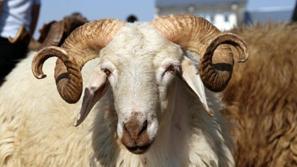 Kurban Bayramı 2019 ne zaman?