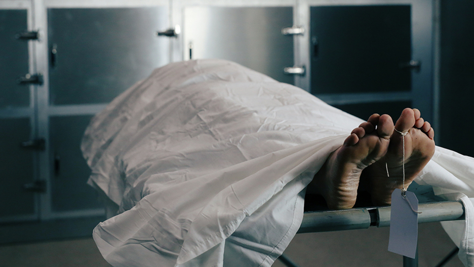 2018 yılında insanlar en fazla o hastalıktan öldü