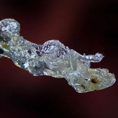 Türk bilim insanının gururlandıran başarısı!