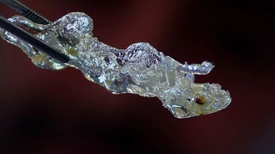 Türk bilim insanının gururlandıran başarısı!