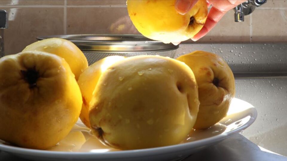 Ayva ihracatından 13 milyon 418 bin liralık gelir