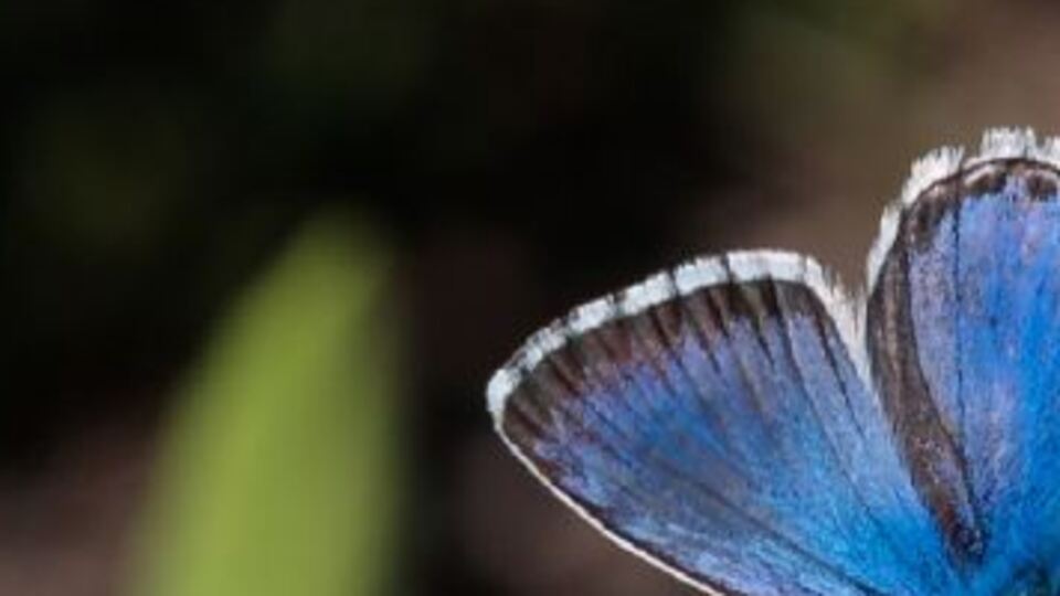 Yerel değeri turizme kazandırıyor