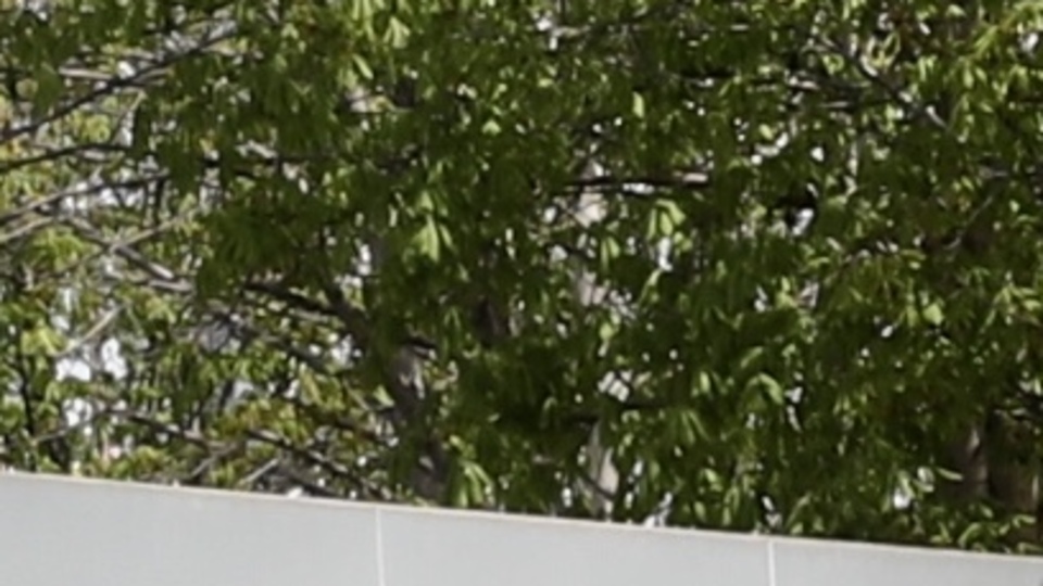 Dışişleri'nden F-35 ve S-400 açıklaması!