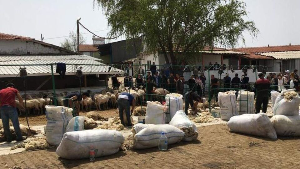 Dehşet! 11 işçi akıma kapıldı: 1 ölü!