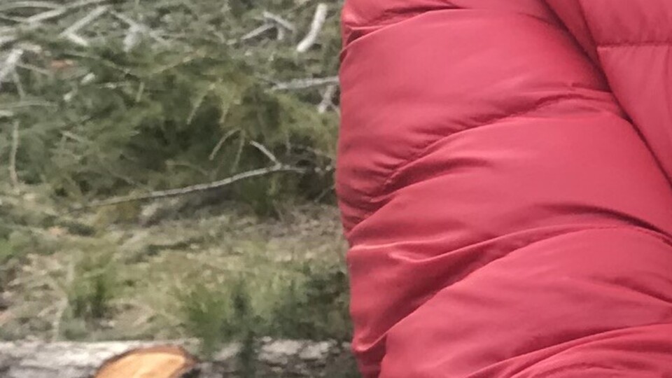 Kilosu 100 liradan satılıyor!