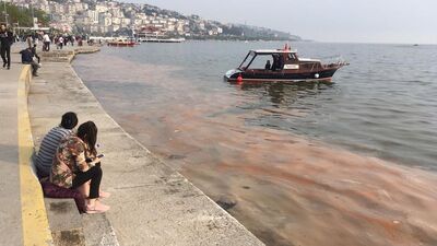 Sahiller turuncuya büründü