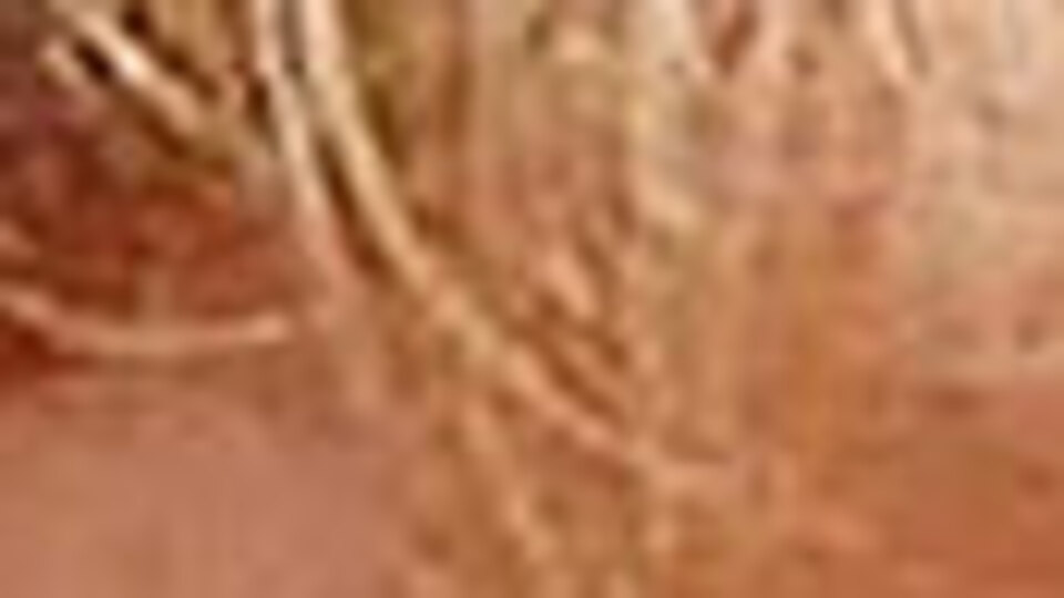 3 yaşındaki İlayda'dan acı haber!