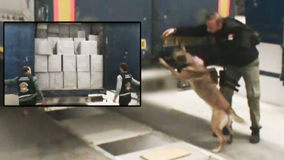 Dedektör köpek 'Maylo' oyunu bozdu!