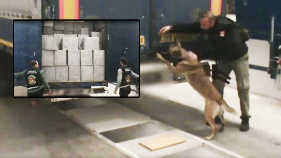 Dedektör köpek 'Maylo' oyunu bozdu!