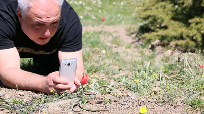 Bu laleye dokunan yandı!