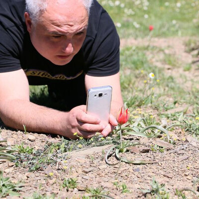 Bu laleye dokunan yandı!