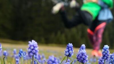 Meteoroloji gün verdi! Yağmura kadar bahar