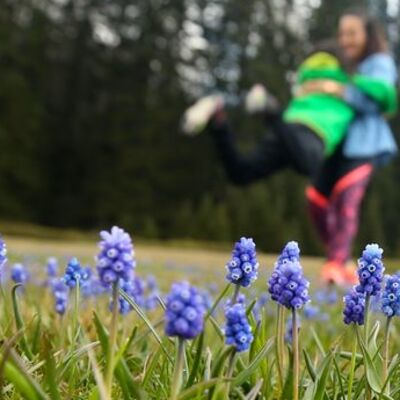 Meteoroloji gün verdi! Yağmura kadar bahar