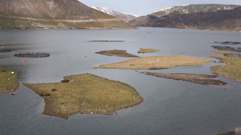 Sular yükseldi, adalar yüzmeye başladı