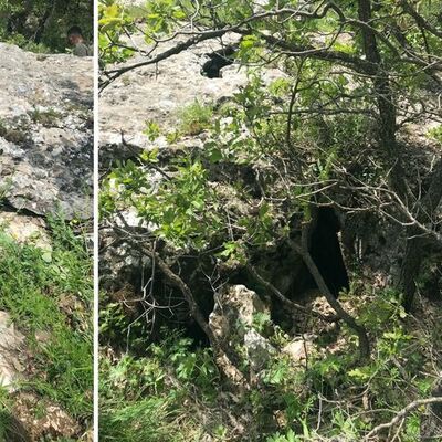 Turuncu ve gri listedeydiler! Öldürüldüler