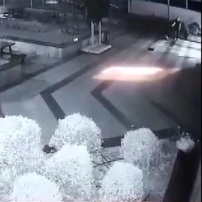 Yavru kediler betona çakıldı!