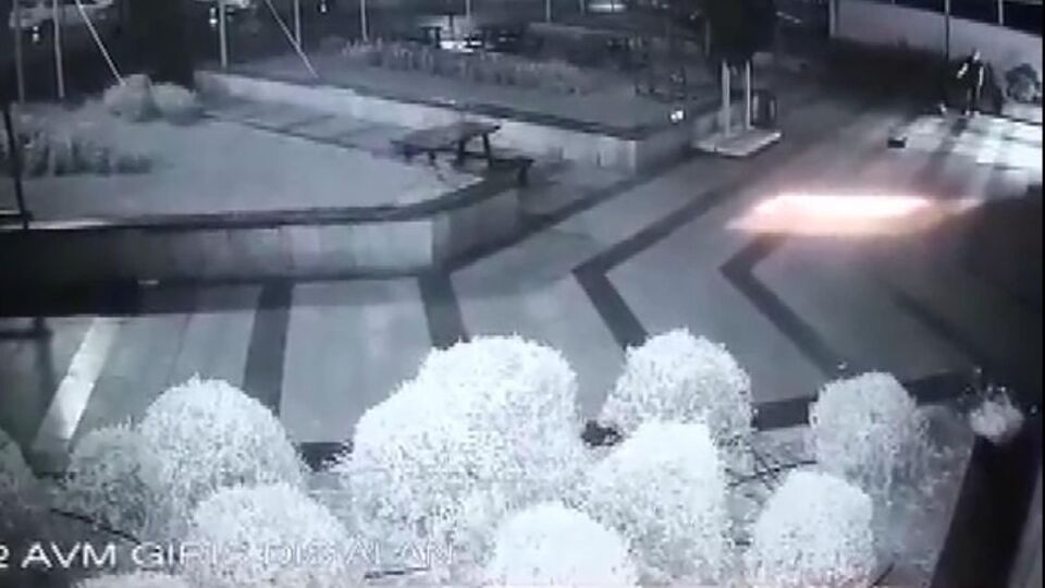 Yavru kediler betona çakıldı!