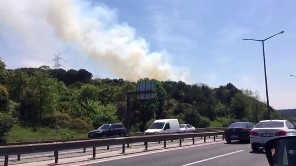 TEM otoyolu Kavacık mevkiinde yangın