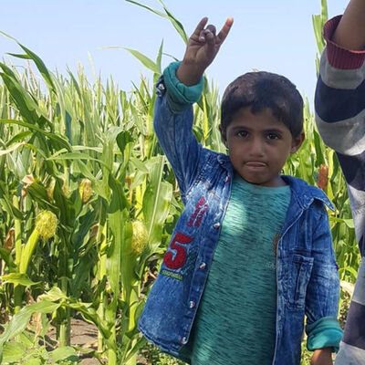 Olacak şey mi! Mehmet foseptik kurbanı!
