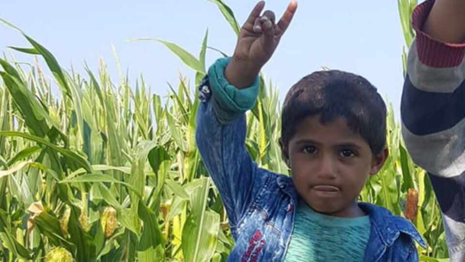 Olacak şey mi! Mehmet foseptik kurbanı!