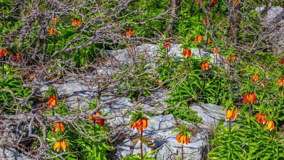15 günlük görsel şölen!