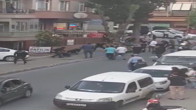 Gözünü otomobilde açtı, acısını sahiplerinden çıkardı