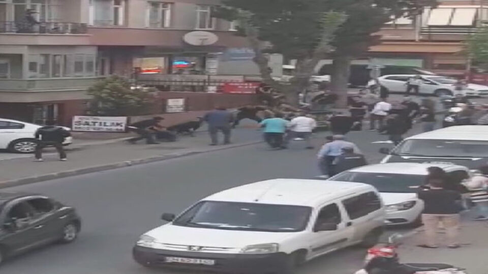 Gözünü otomobilde açtı, acısını sahiplerinden çıkardı