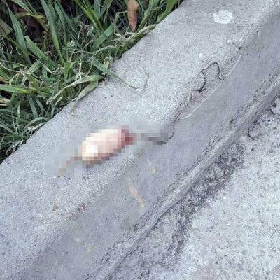 Şoke eden görüntüden ihmal çıktı!