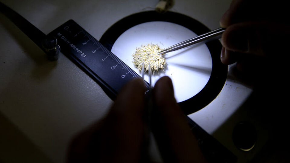 Kaya üzerinde tespit edildi