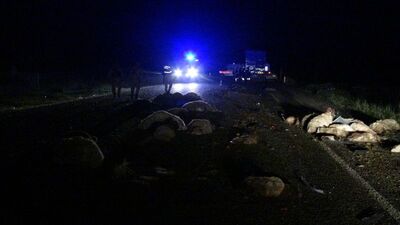 Batman'da can pazarı: 2 araç koyun sürüsüne daldı