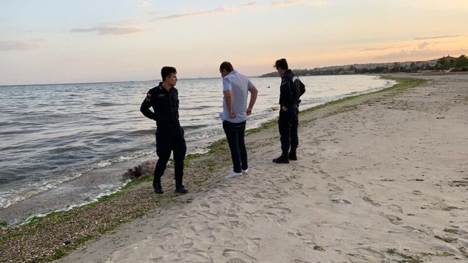 Silivri sahilde şaşırtan görüntü! 35 yıldır görülmemişti!