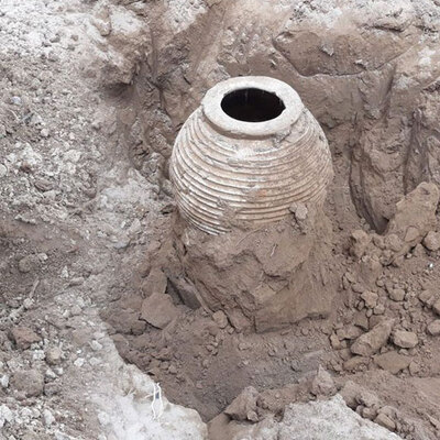 Tarlasını sürerken küpe rastladı!