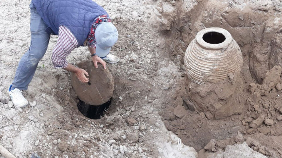 Tarlasını sürerken küpe rastladı!