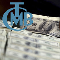 Merkez Bankası'ndan döviz önlemi