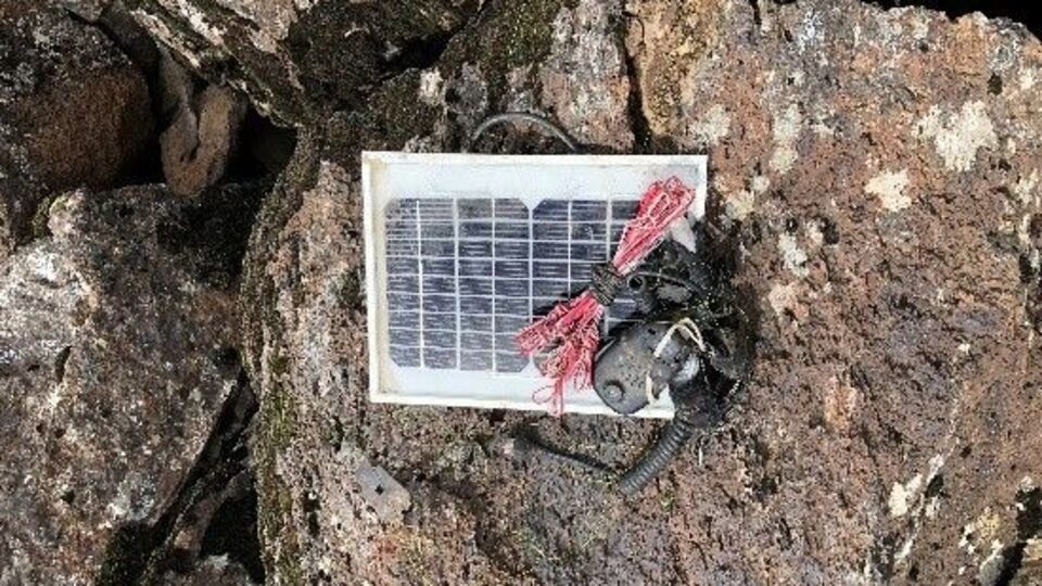 Muş'ta PKK operasyonu