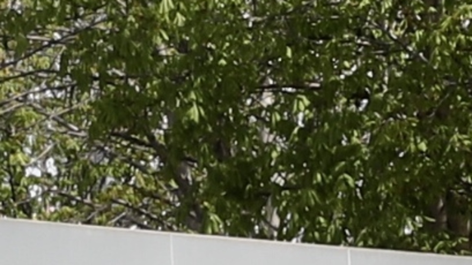 Dışişleri'nden ABD'ye YSK kararı yanıtı!