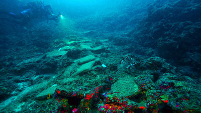 Antalya'da bulunmuştu! UNESCO'da tanıtıldı