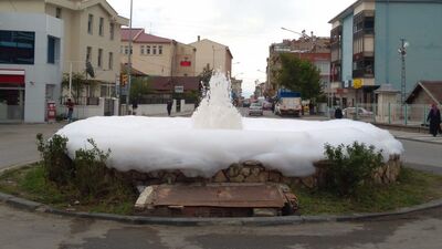 Süs havuzu köpürdü! Görenler şaşırdı!