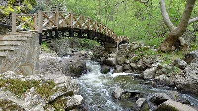 Burada zaman su gibi akıyor