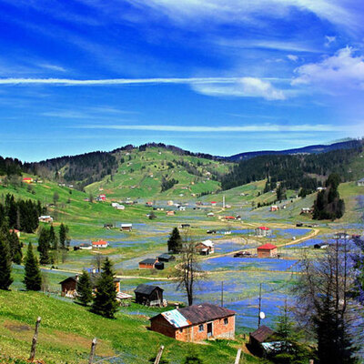 Fotoğraf uğruna yok oldu