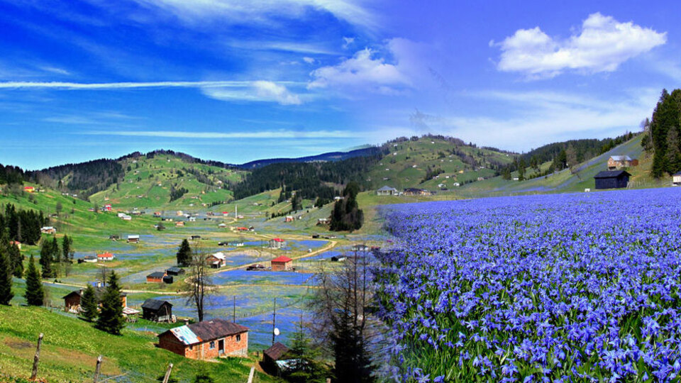 Fotoğraf uğruna yok oldu