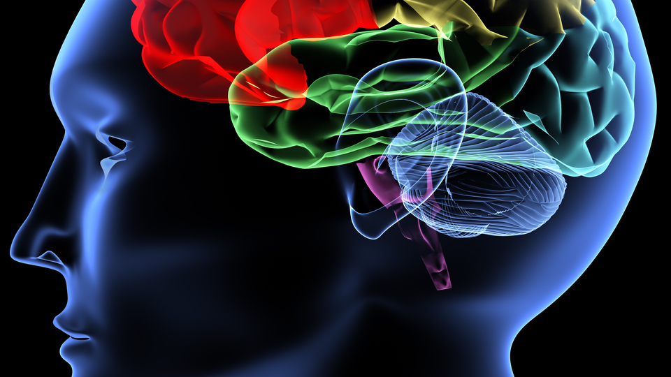 Apandisiti alınan kişilerde Parkinson riski!