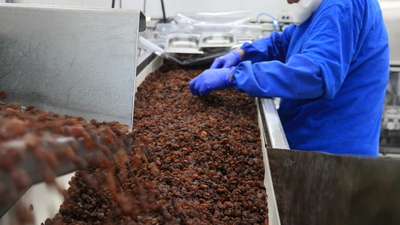 Kuru üzüm ihracatında "Uzak Doğu" bereketi